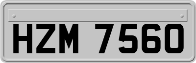 HZM7560