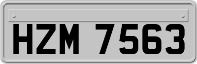 HZM7563