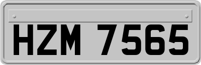 HZM7565