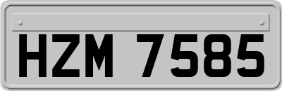 HZM7585