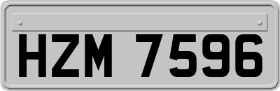 HZM7596