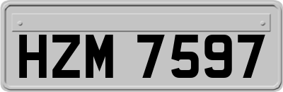 HZM7597