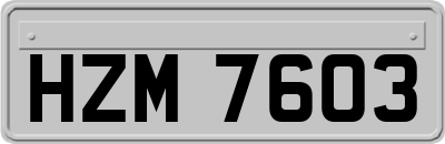 HZM7603
