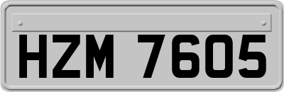 HZM7605