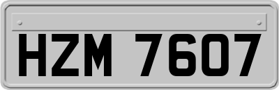 HZM7607