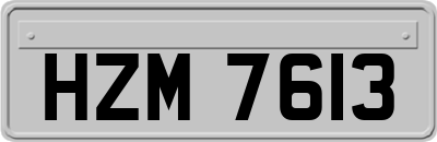 HZM7613