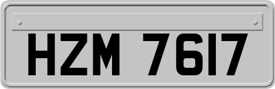HZM7617