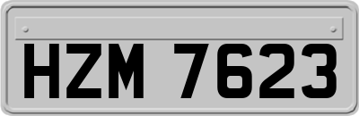 HZM7623