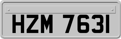 HZM7631