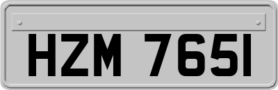 HZM7651