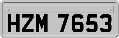 HZM7653