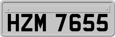 HZM7655
