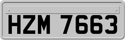 HZM7663