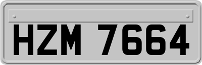 HZM7664