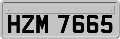HZM7665