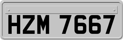 HZM7667