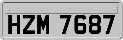 HZM7687