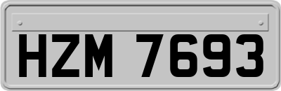 HZM7693