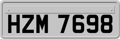HZM7698