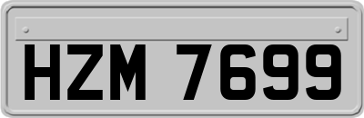 HZM7699