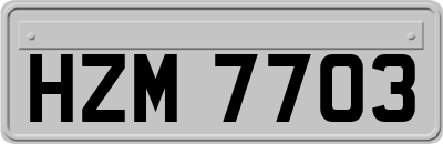 HZM7703