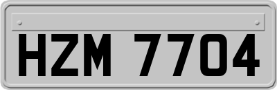 HZM7704