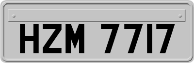 HZM7717