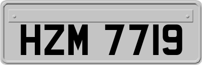 HZM7719