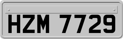 HZM7729