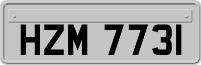 HZM7731