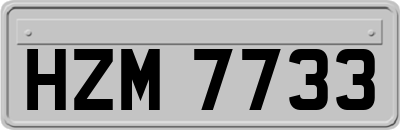 HZM7733