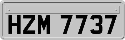 HZM7737