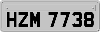 HZM7738