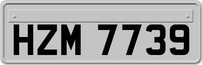 HZM7739