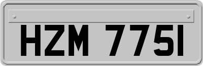 HZM7751