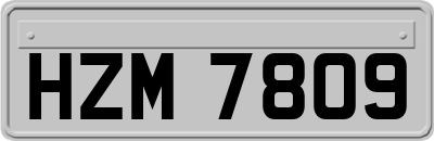 HZM7809
