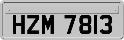 HZM7813