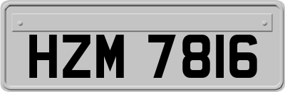 HZM7816