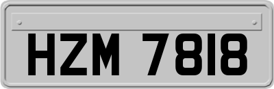 HZM7818