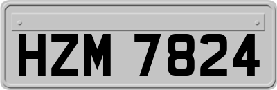 HZM7824