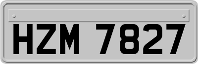 HZM7827