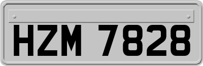 HZM7828