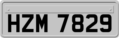 HZM7829