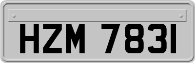 HZM7831