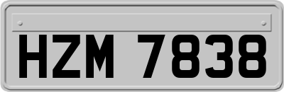 HZM7838