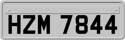HZM7844