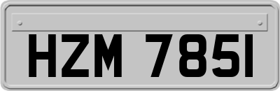 HZM7851