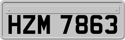 HZM7863