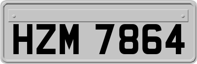 HZM7864
