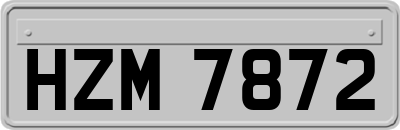 HZM7872